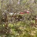 Apartman Sunny Split