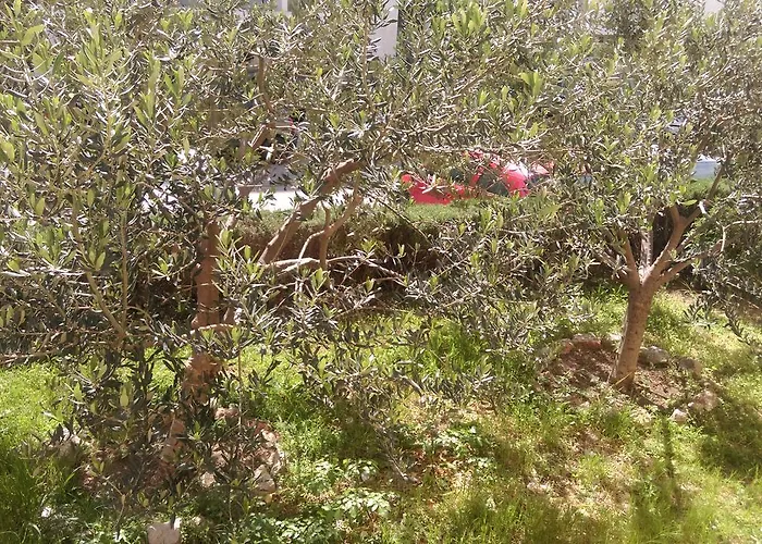 Lägenhet Sunny Split