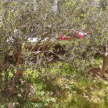 Apartment Sunny Split